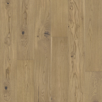 Pays | VENTRON | Parquet multicouche en chêne | 14mm | 2200 x 180 mm | Couche supérieure de 3 mm