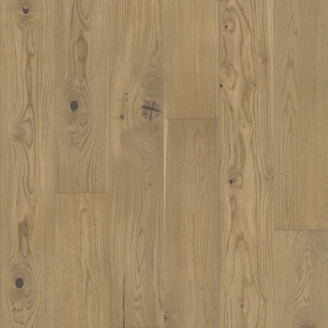 Pays | VENTRON | Parquet multicouche en chêne | 14mm | 2200 x 180 mm | Couche supérieure de 3 mm